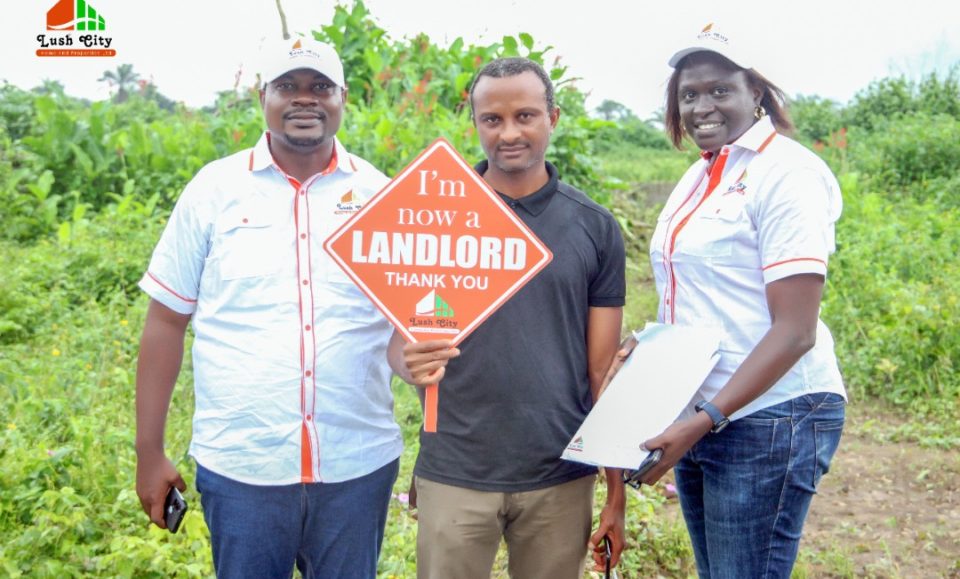 land for sale