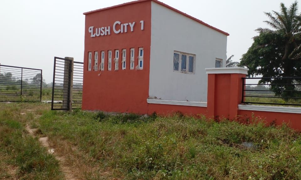 lush city homes